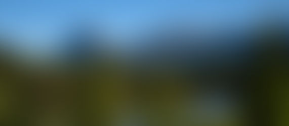 6月9日 バンフ発 ロッキー1日観光 (氷河観光)