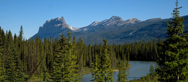 6月9日 バンフ発 ロッキー1日観光 (氷河観光)
