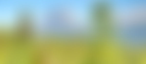 ベテラン添乗員と甥っ子の旅 3日目 カルガリー発レイクルイーズとモレーン湖