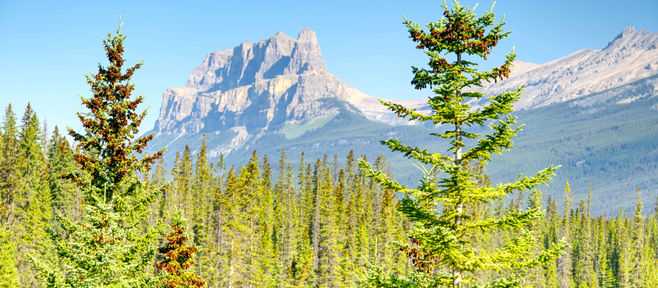 ベテラン添乗員と甥っ子の旅 3日目 カルガリー発レイクルイーズとモレーン湖