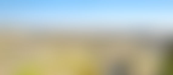 カルガリー発 ドラムヘラー観光 バンフまで。母子二人旅