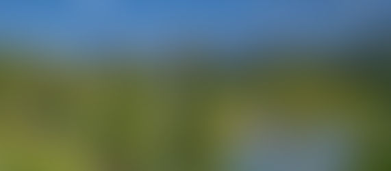 7月15日 ロッキー1日観光(氷河観光)