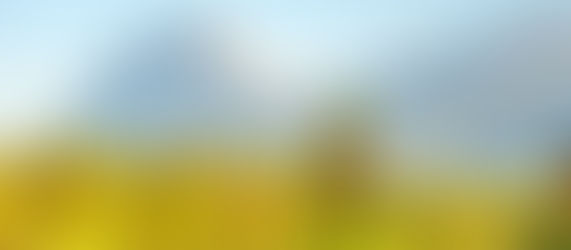 バンフ発 ロッキー1日観光 母娘2人旅と親子4人旅