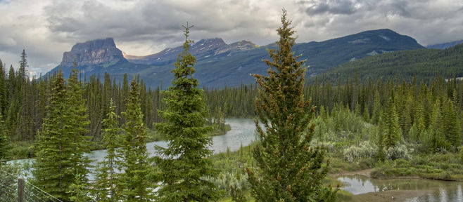 6月28日 バンフ発 ロッキー1日観光(氷河観光)