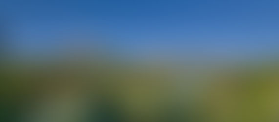 7月16日 ヨーホー国立公園観光