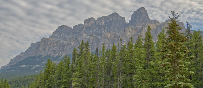 8月12日-ヨーホー国立公園観光