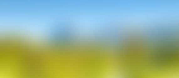 ロッキー1日観光 親子2名様