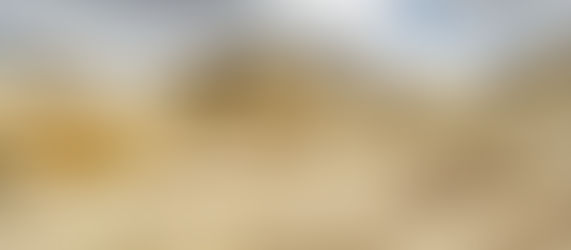 ベテラン添乗員と甥っ子の旅 2日目 ダイナソー州立公園