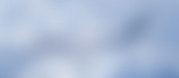 ウェストジェット 成田-カルガリー間 就航へ