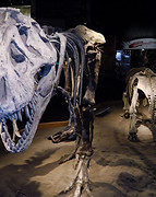 Copy of FB-NOTE-DRM-RT001.JPG