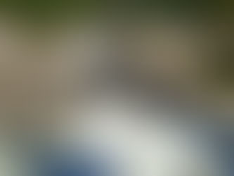 Ⅿ様ご家族 ヨーホー国立公園観光