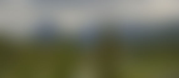 6月6日 カルガリー発 レイクルイーズとモレーン湖