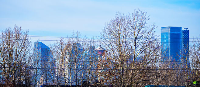 カルガリーの野鳥保護地区
