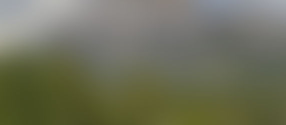 6月2日 ロッキー1日観光