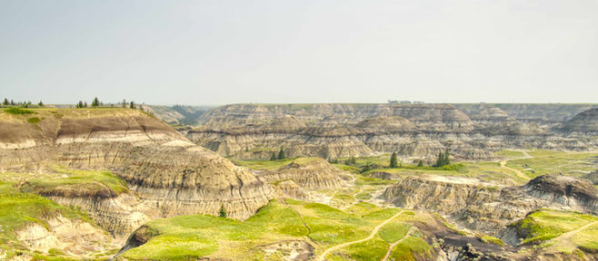 ドラムヘラー1日観光 母子2名様