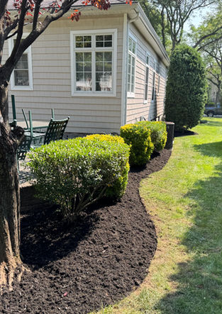 Landscape and Design