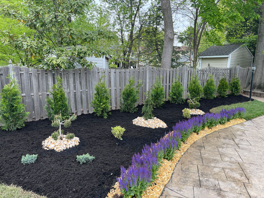 Landscape and Design