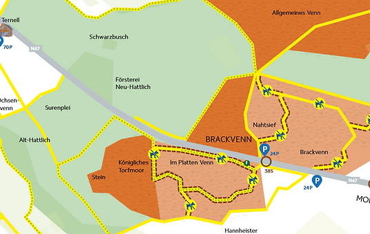 2026-06-30_Hohes_Venn_mit_Hund.png