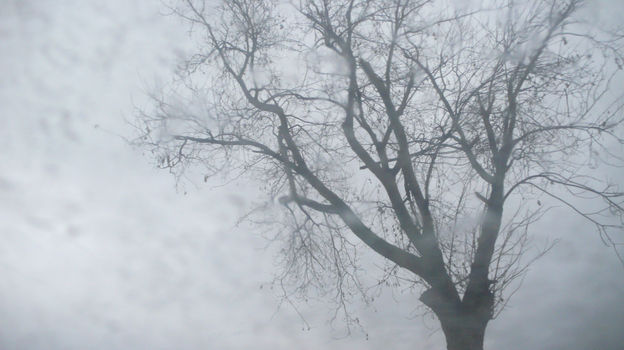 Track to Serbia by Junus Aspassi