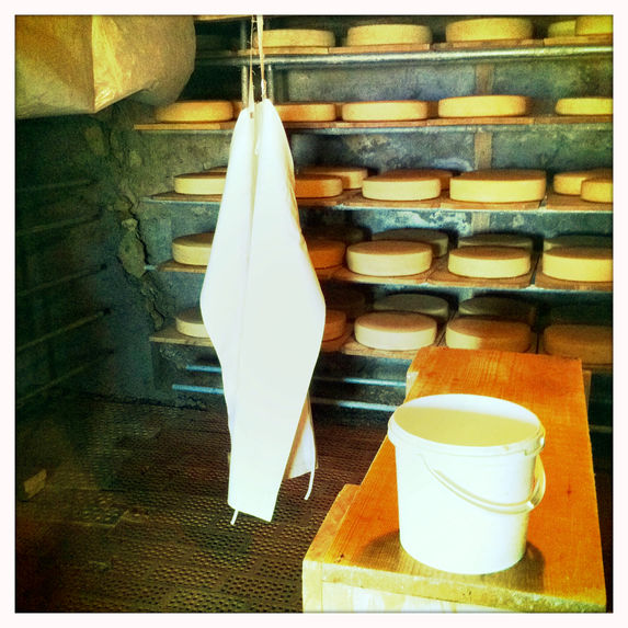 ALP by Junus Aspassi