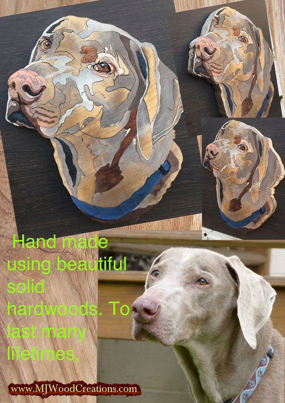 Thumbnail: Weimaraner