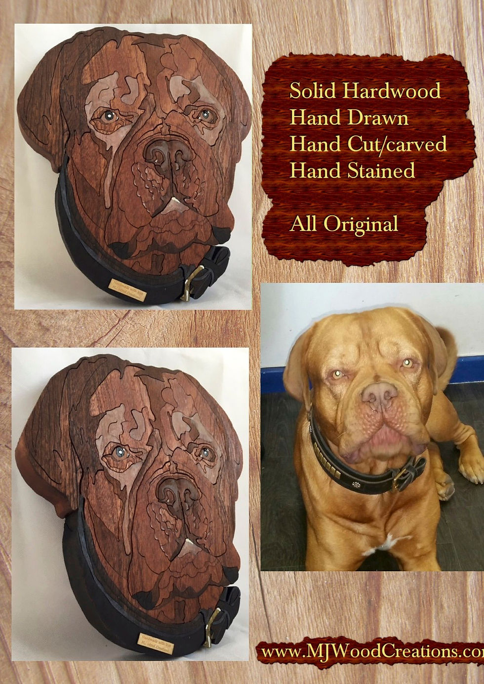 Thumbnail: Bullmastiff / Bordeaux