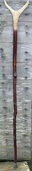 image9.jpeg