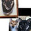 Thumbnail: Shiba Inu