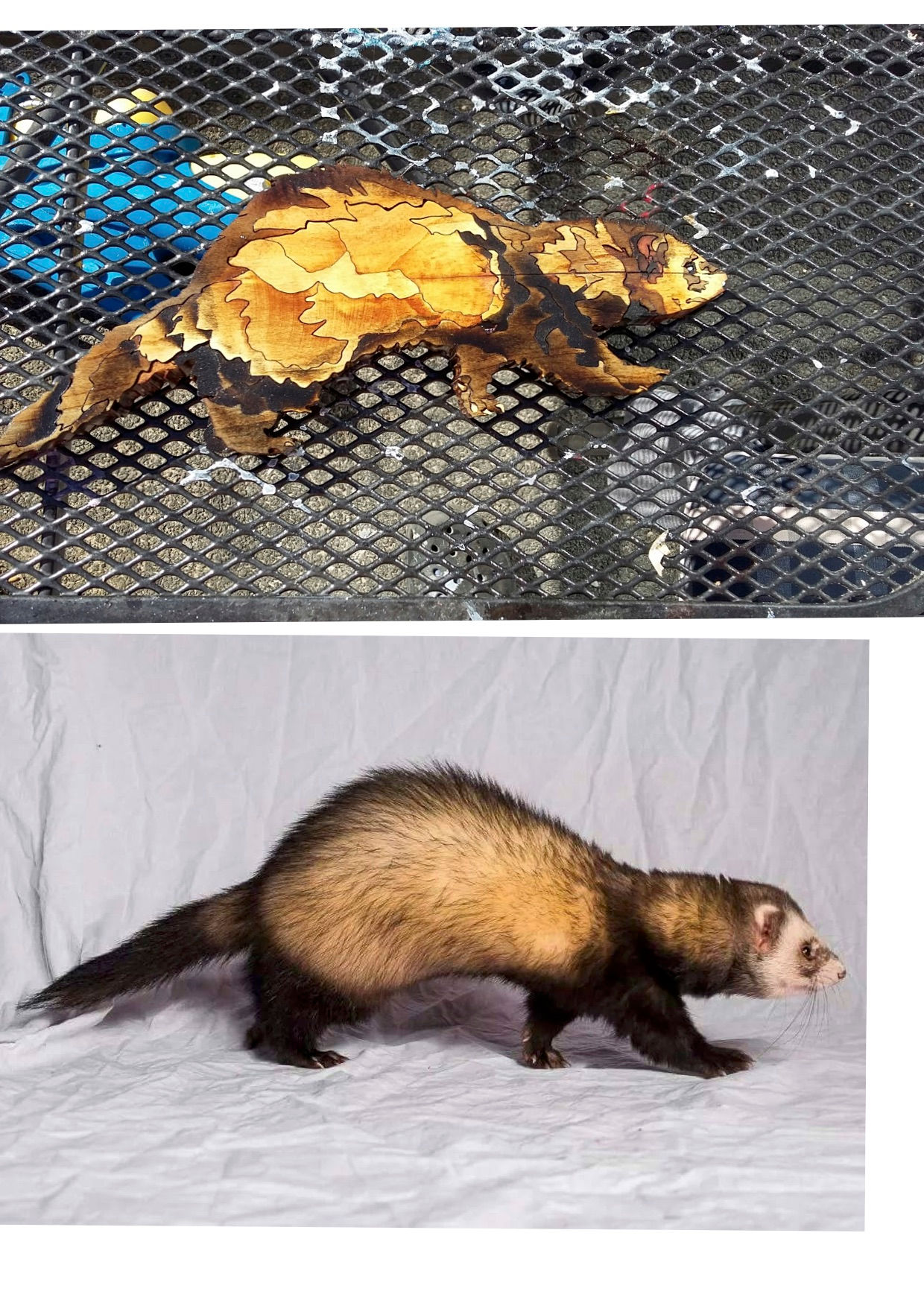 Ferret Carving