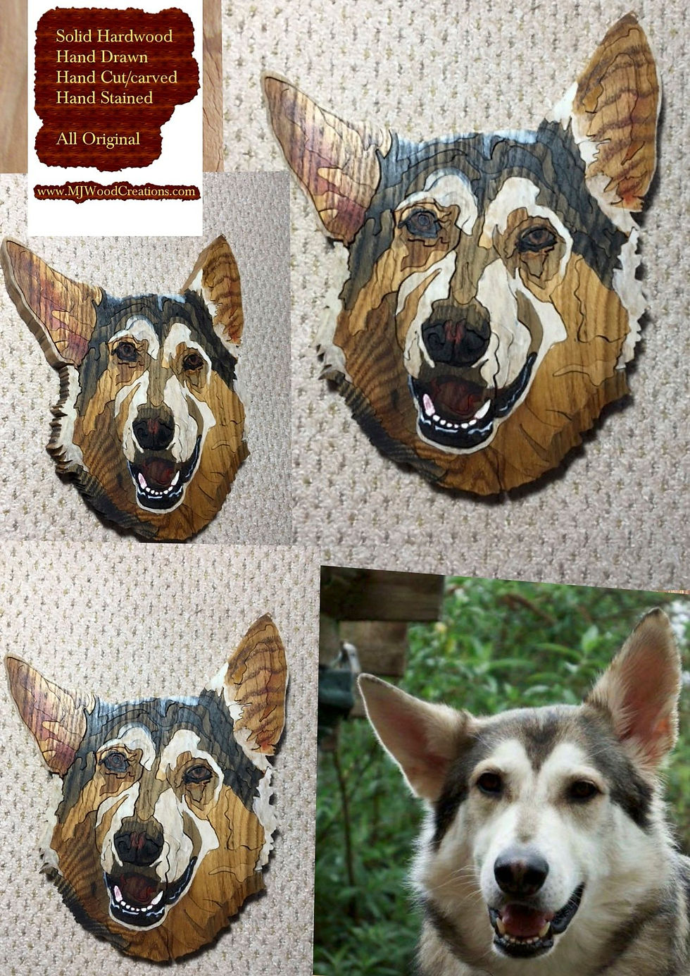 Thumbnail: Huskies