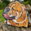 Thumbnail: Bulldogs
