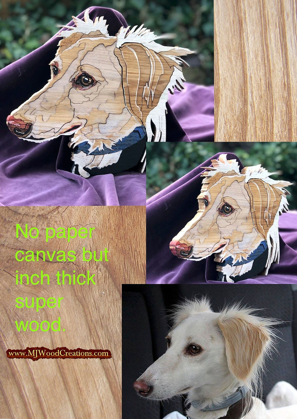 Thumbnail: Lurchers