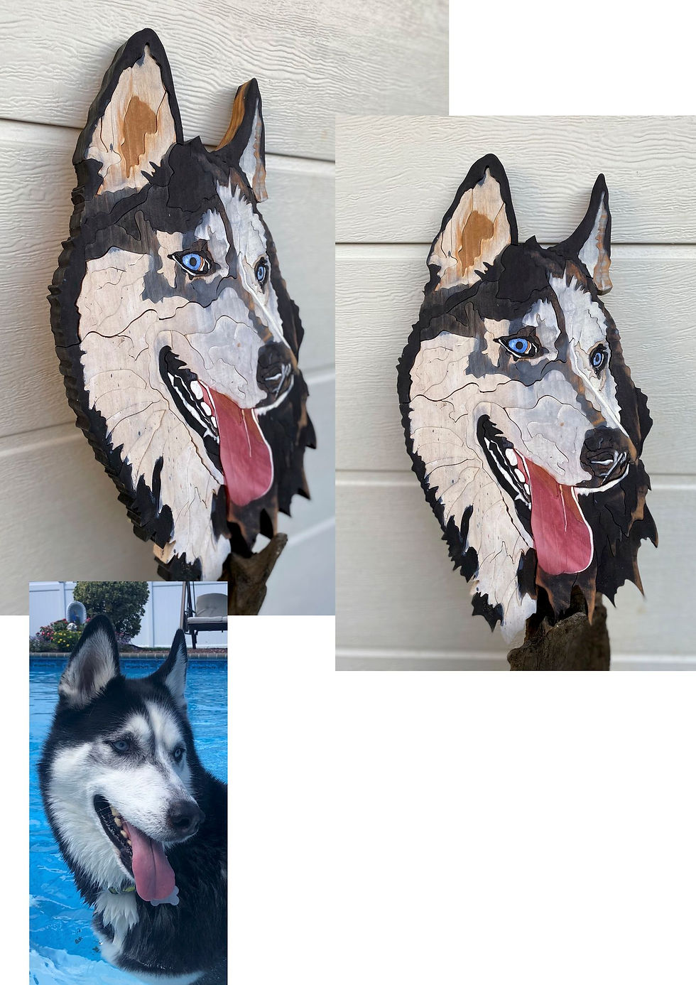 Thumbnail: Huskies