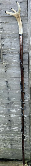 image47.jpeg