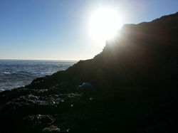 Skunk Train 샘물교회 관광코스 탐험 !!