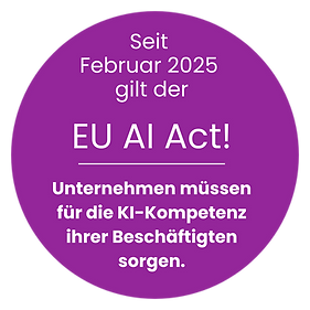 Störer AI Act.png