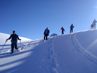 Winter hikes in the wild Jura