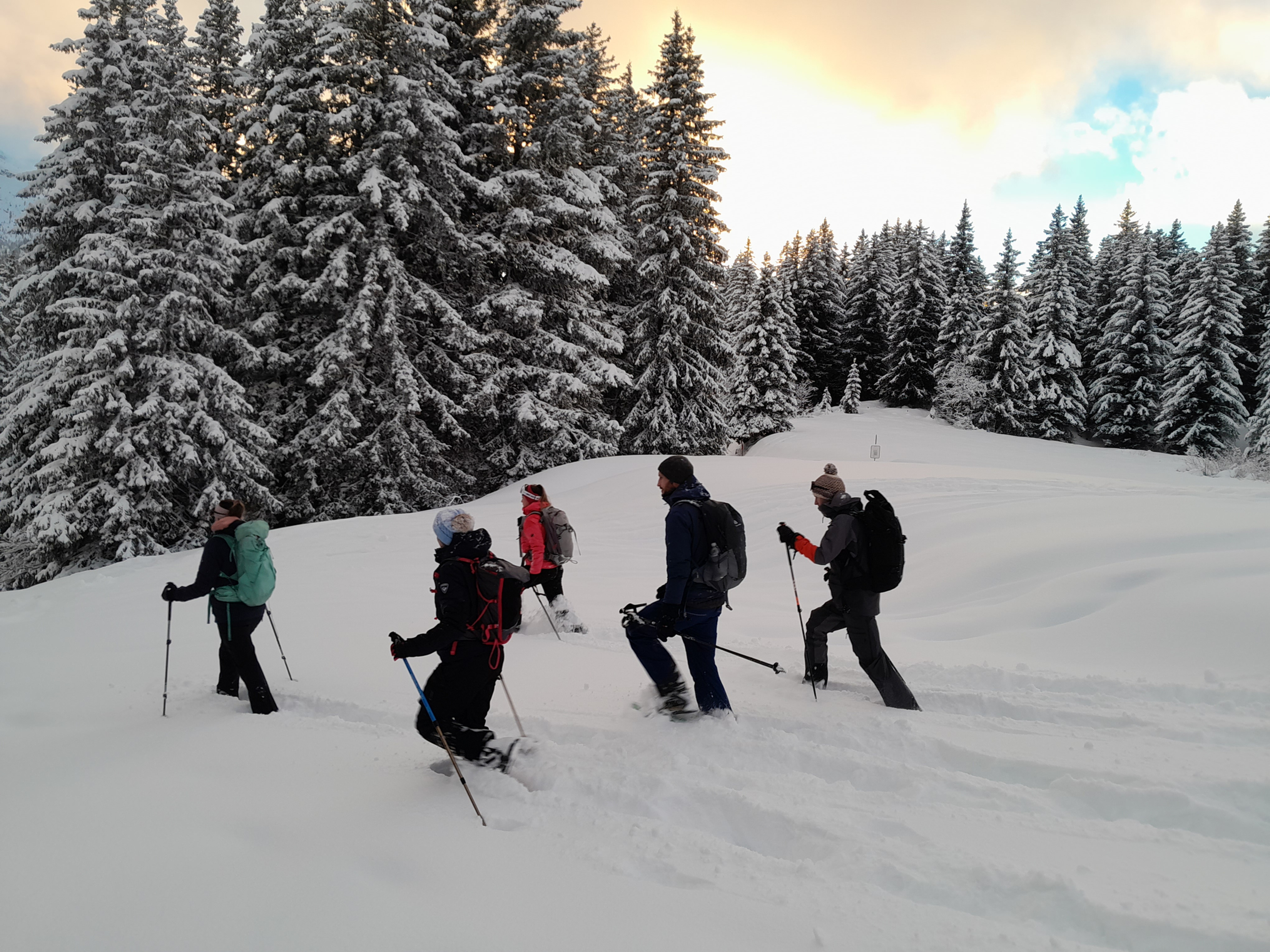 Guided snowshoe hike Outdoor & Wildlife Experience Peak2Peace