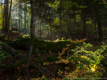 L'histoire de la Terre en 4.6 km