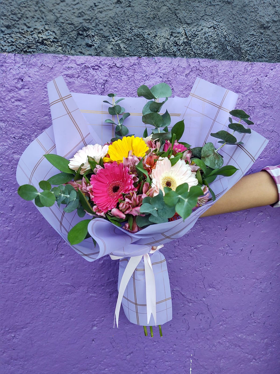 Miniatura: Gerberas Mixtas