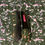 Miniatura: Friulane, Furlane, friulana wax, friulane su misura, friulane con tessuti africano, wax fabric, wax fabric shoes, scarpets