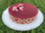 Framboisier 12 pers