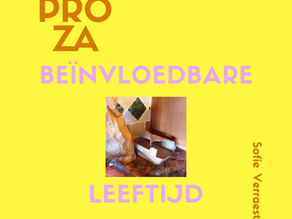 Beïnvloedbare leeftijd 