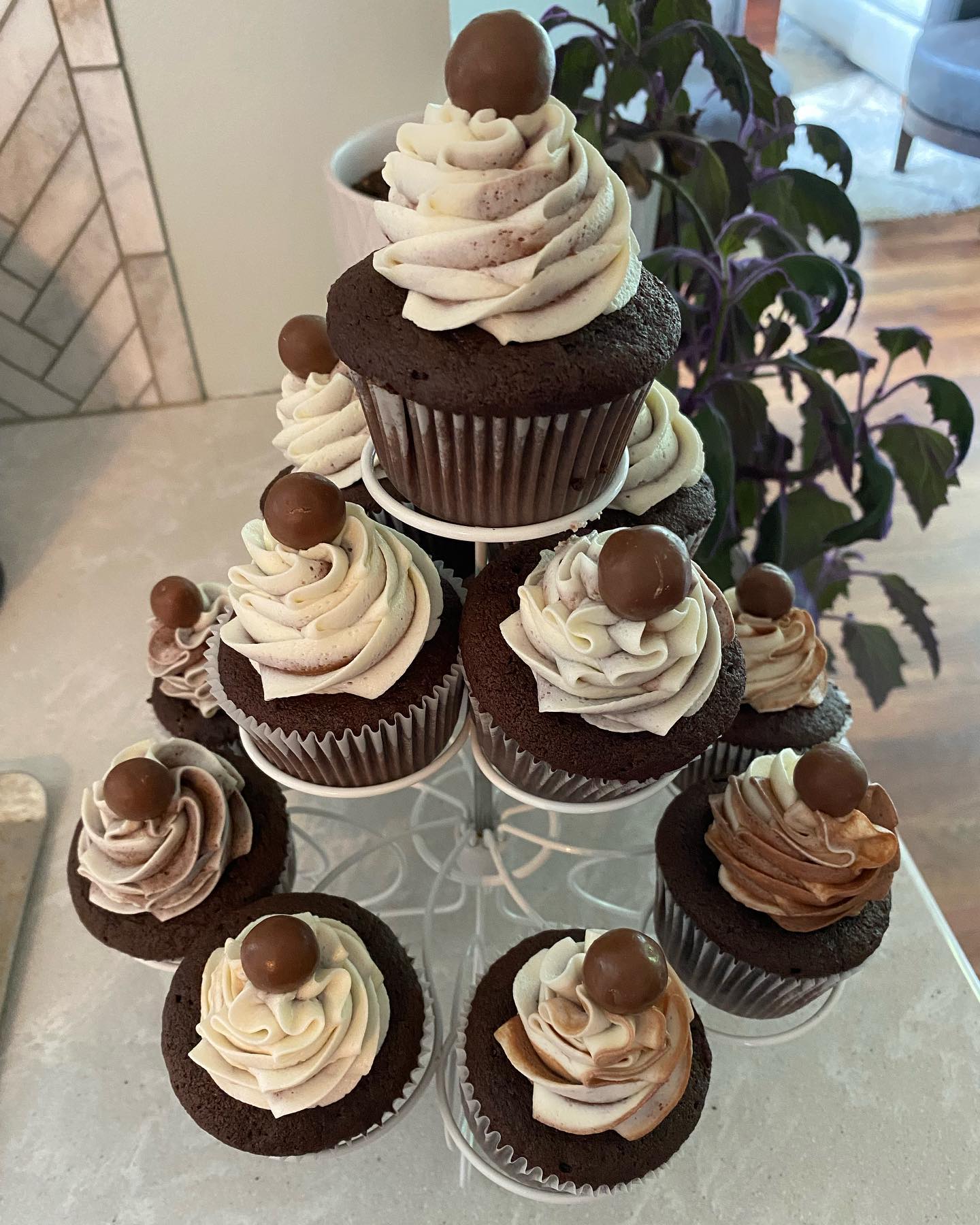 Arranged Food and Objects