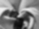 IMG_3646.jpeg