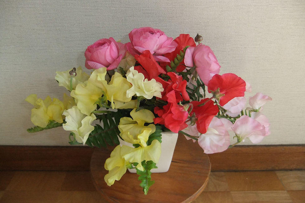 DSCF2122