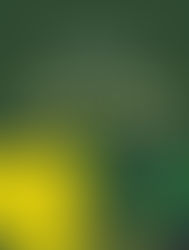 Đề thi các năm THPT Quốc Gia - SINH HỌC