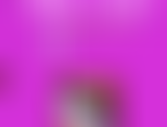 Ngữ Văn 11 Nâng Cao Tập 1