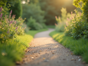 Improving Your Life: Strategies for Personal Growth