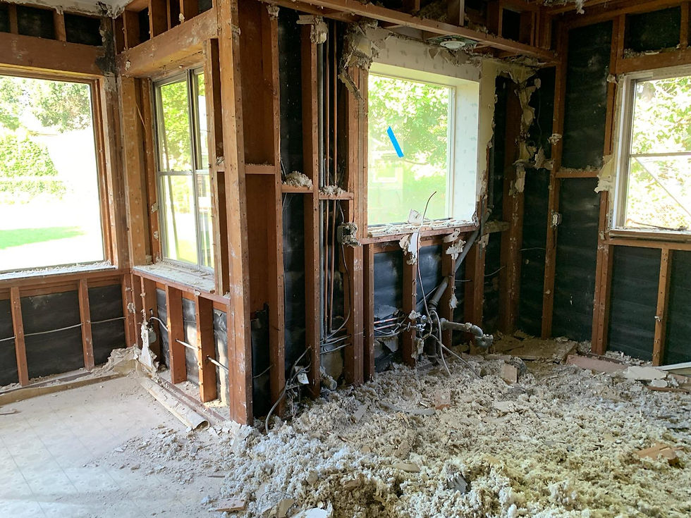 CURRENT PROJECT - KITCHEN DEMO